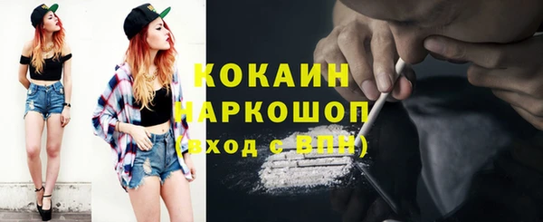 Альфа ПВП Гусев