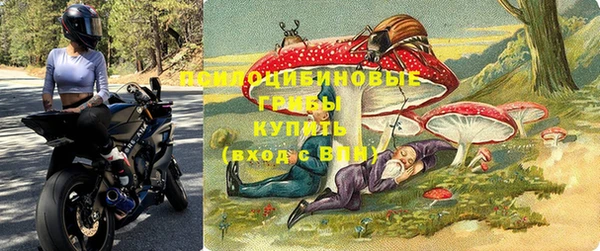экстази Гусь-Хрустальный