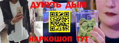 стафф Гатчина