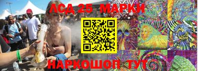 apvp Гатчина