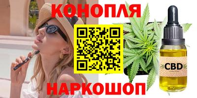 apvp Гатчина