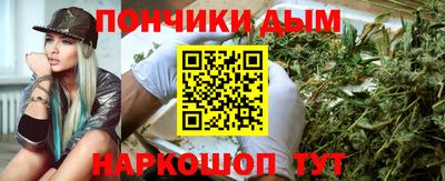 apvp Гатчина
