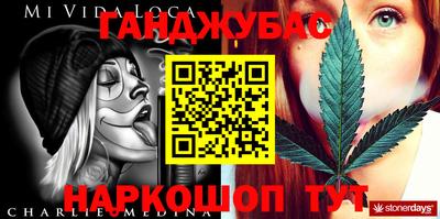apvp Гатчина