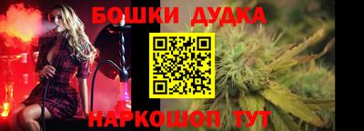 стафф Гатчина