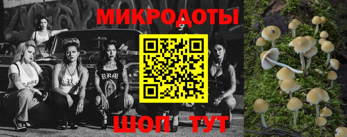 Псилоцибиновые грибы MAGIC MUSHROOMS  Галлюциногенные грибы Psilocybe  Вход с VPN  Ефремов 