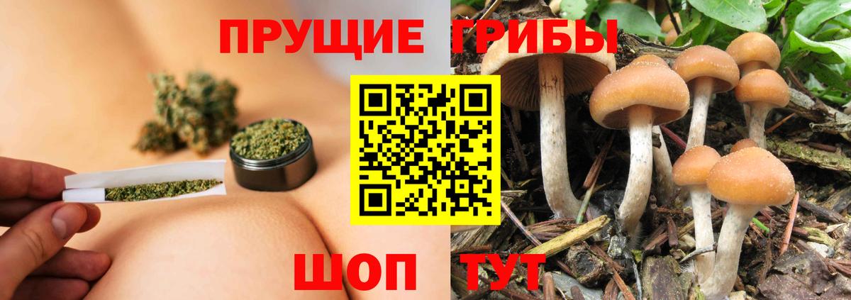 Галлюциногенные грибы прущие грибы Ефремов
