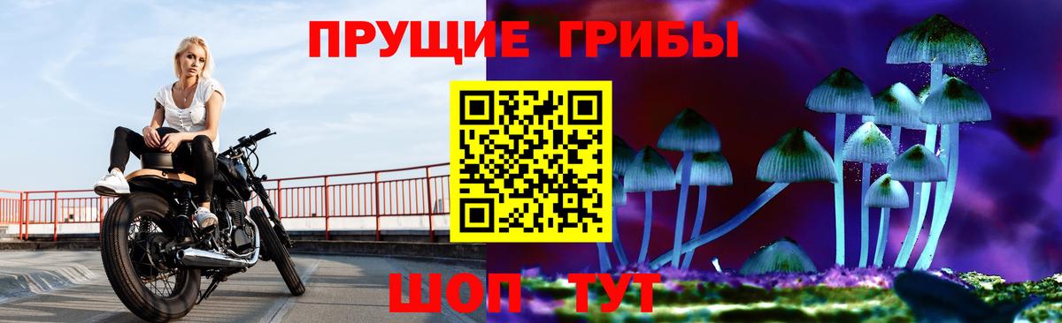 Псилоцибиновые грибы Cubensis  цена наркотик  Ефремов 